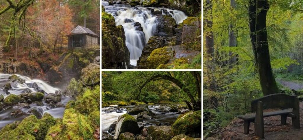 The Hermitage Walk Scotland