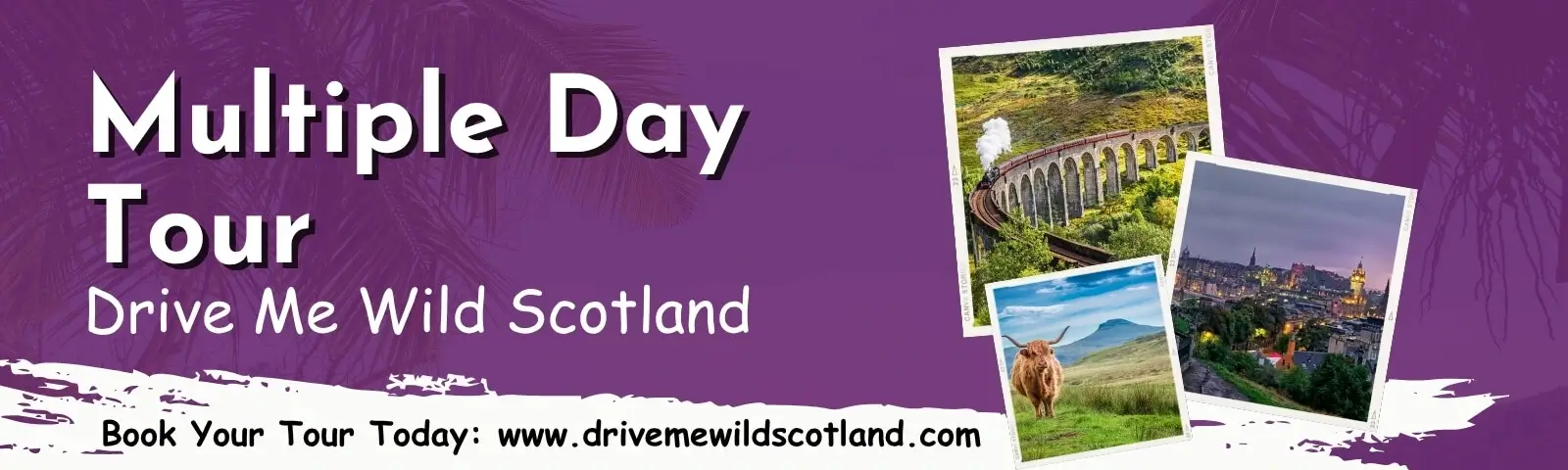Drive Me Wild Scotland Multiple Day Tour