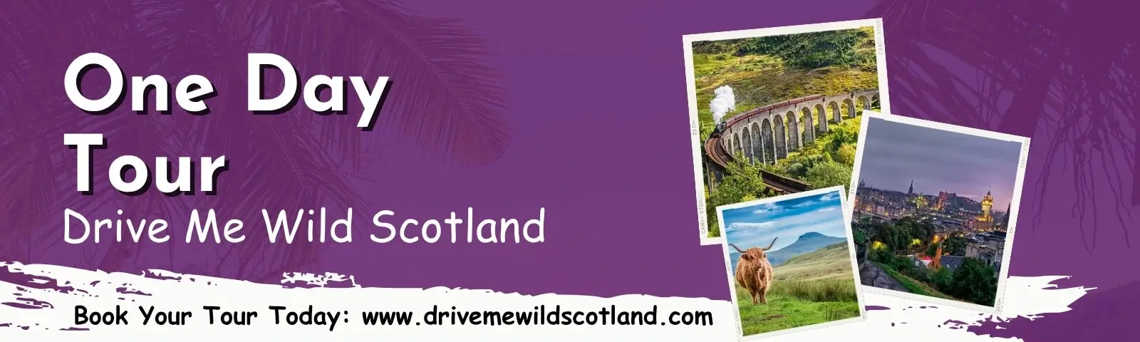 Drive Me Wild Scotland One Day Tours